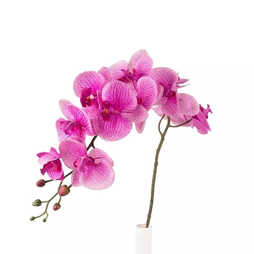 گل ارکیده لمسی میکس مدل  GK1519