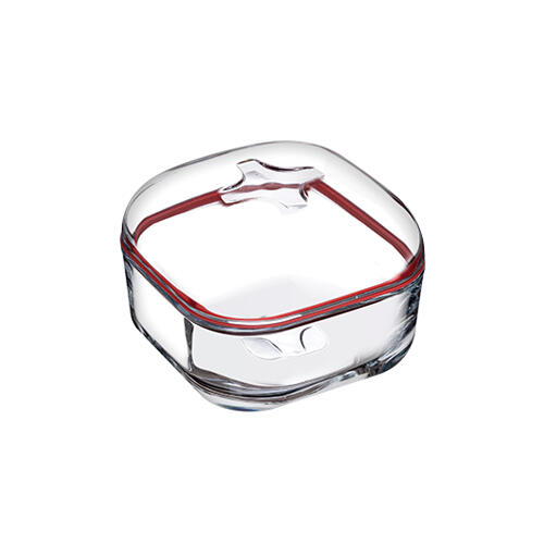 پاشاباغچه پلاس ظرف نگهدارنده قرمز 1 عددی 395 سی سی (gb (96887