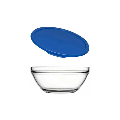 پاشاباغچه چفس ظرف نگهدارنده درب آبی 1 عددی 595 سی سی sl (53553)